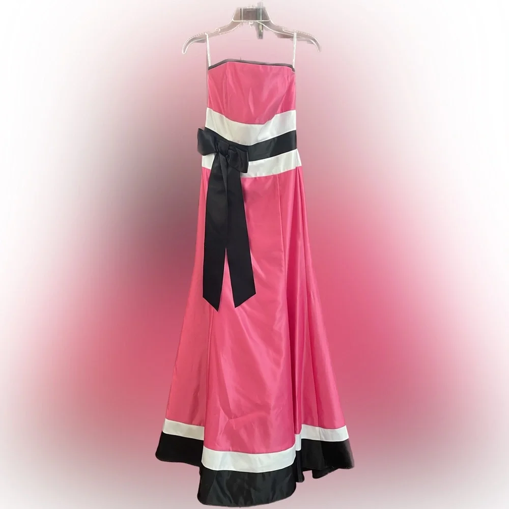 ⭐️HP⭐️ Gorgeous Floor Length Pink, Black, and White Jessica McClinktock Dress - Picture 4 of 13